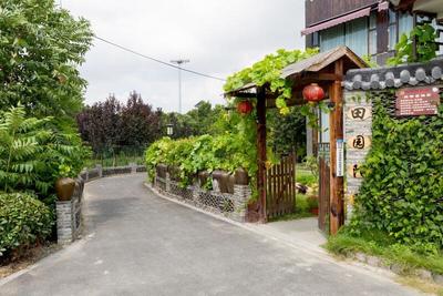 踐行“兩山”理念，大云鎮(zhèn)以花卉經(jīng)濟(jì)激活村集體發(fā)展新動能